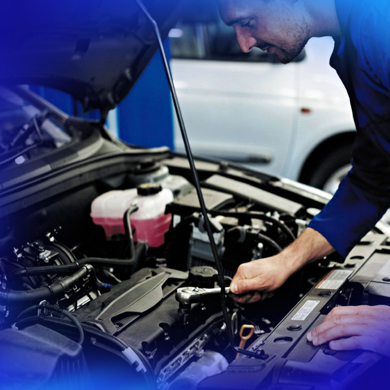 ESPECIALISTA EN FUERZA MOTRIZ Y FUNDAMENTOS DEL MOTOR